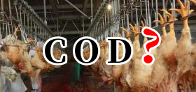 一般雞屠宰廢水COD在多少？