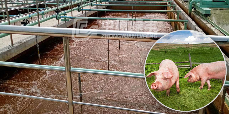 屠宰廢水應該怎么處理？