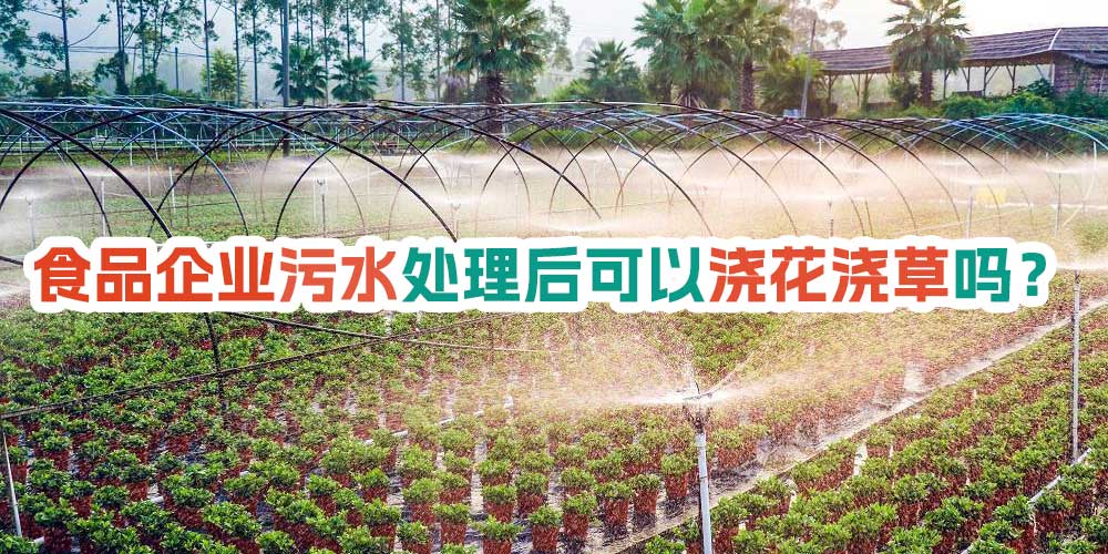 食品企業(yè)污水處理后可以澆花澆草嗎？
