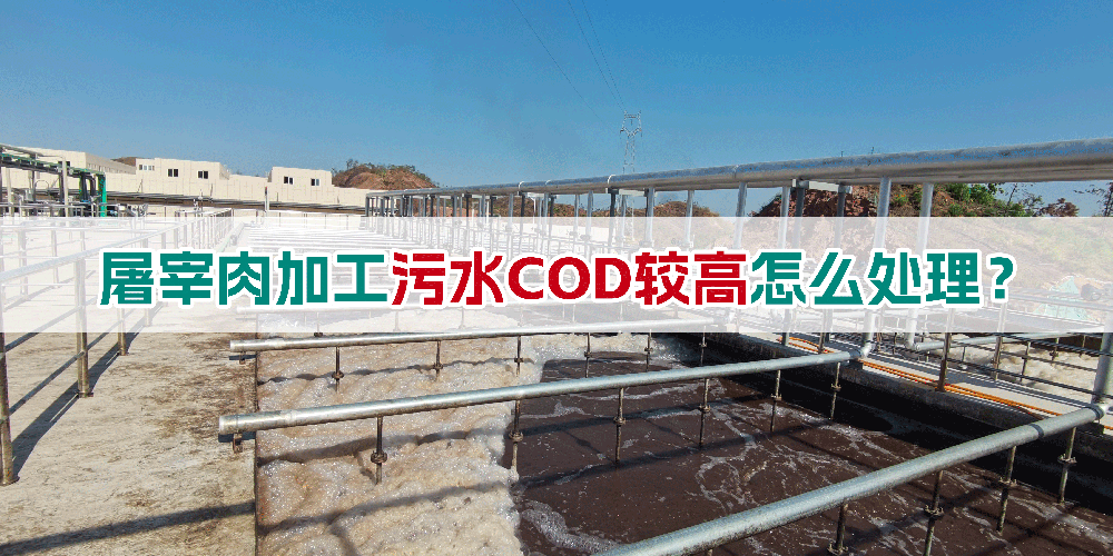 屠宰肉加工污水COD較高怎么處理？