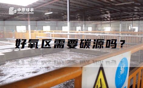 屠宰污水處理好氧區(qū)需要碳源嗎？