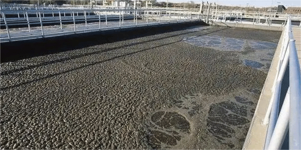 食品污水污泥量占比多少？