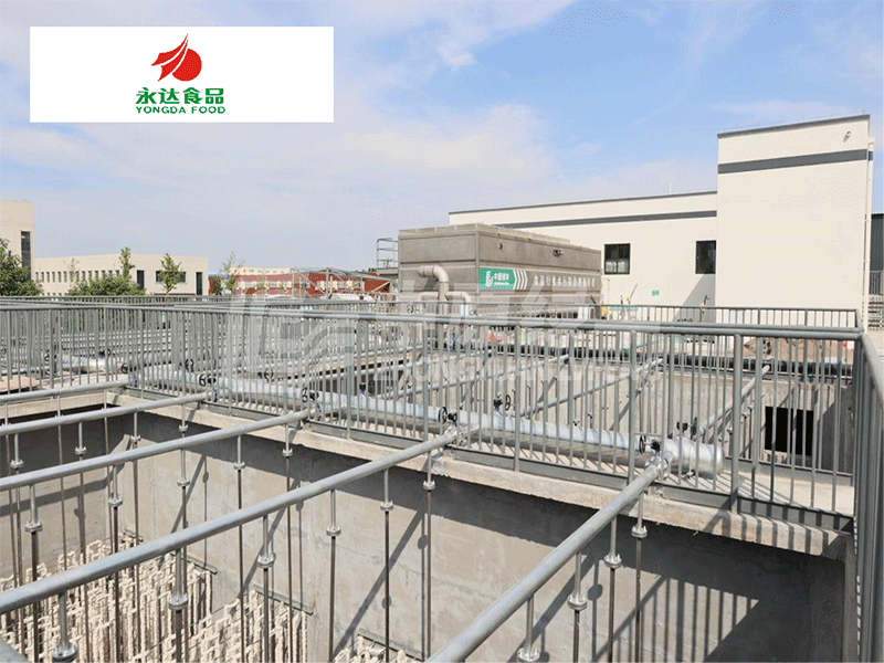 永達(dá)集團(tuán)·淇縣鴻磊項(xiàng)目2100m3/d調(diào)理品加工廢水處理工程